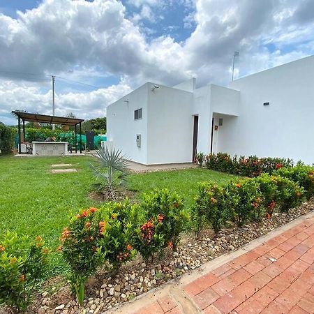 Carmen de Apicalá Casa Palma Roja Boutique , Piscina Privadaヴィラ エクステリア 写真